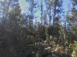 LOT 64 Lot 64, Volcano, HI 96785