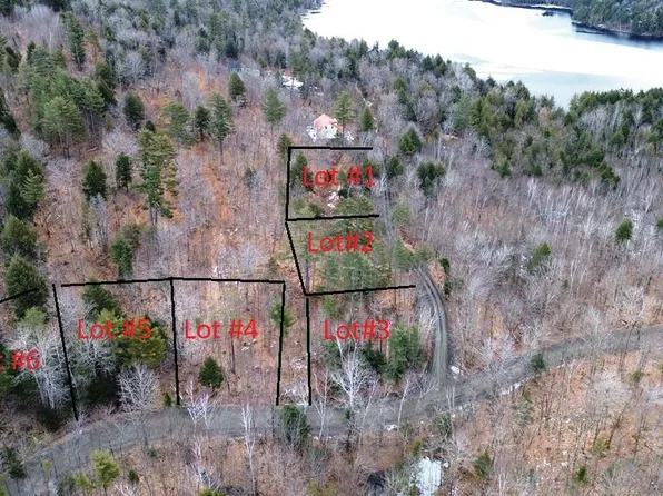 Lot 6 Peterson Road, Bowerbank, ME 04426