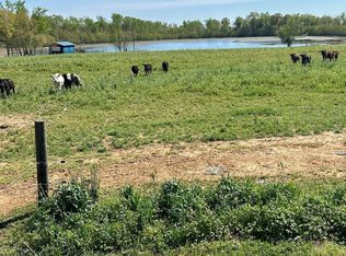 53 Acres Hwy #123, Hartford, AL 36344
