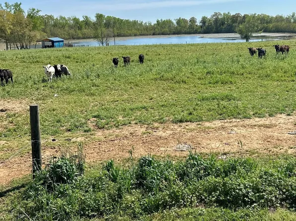 53 Acres Hwy #123, Hartford, AL 36344