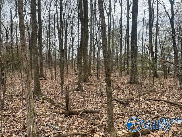 2nd image of 14033 Monte Vedra Rd SE
