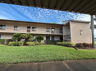 229 Mary Dr #45, Oldsmar, FL 34677