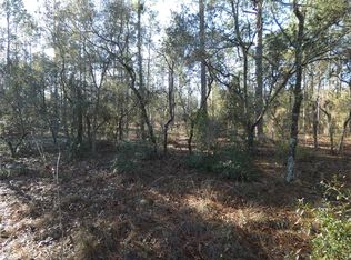 LOT 13 SW Neptune Blvd LOT 13, Dunnellon, FL 34431