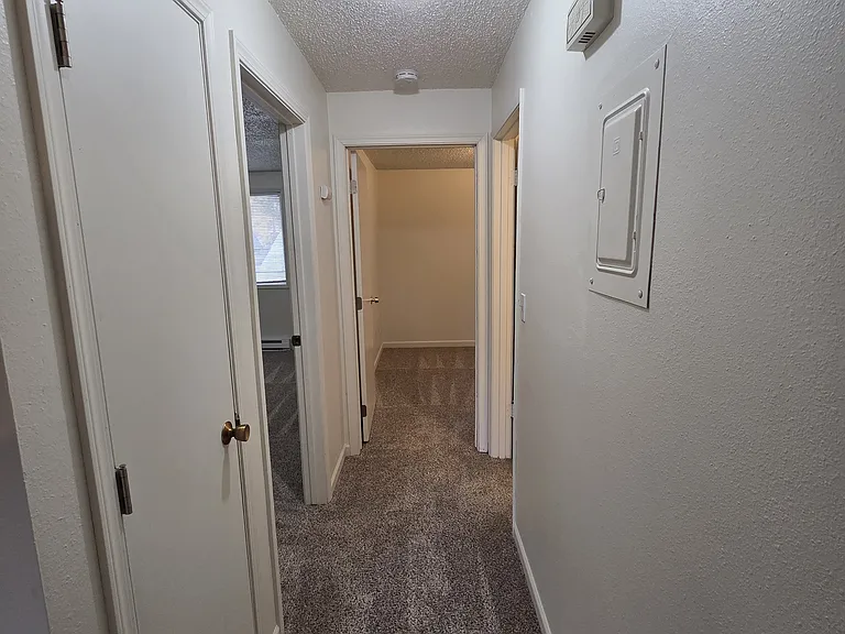 527 Washington St #4 — Photo 8
