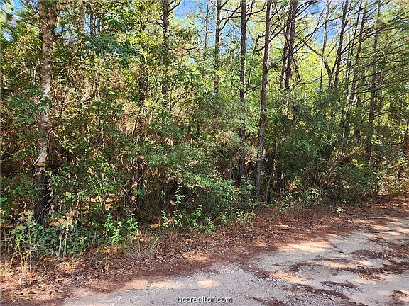 5th image of LOT 17 Tawnyberry Ln