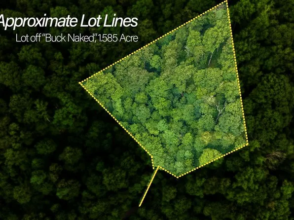 LOT Off Buck Naked, Bryson City, NC 28713