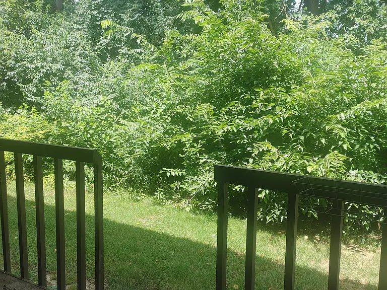 5065 Belle Isle Dr — Photo 17