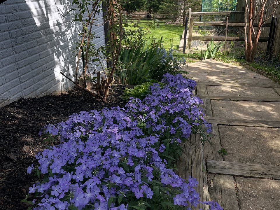 Stairs at side entrance into gated backyard.
