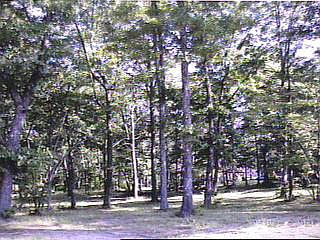 1st image of 115 Hillsdale Dr