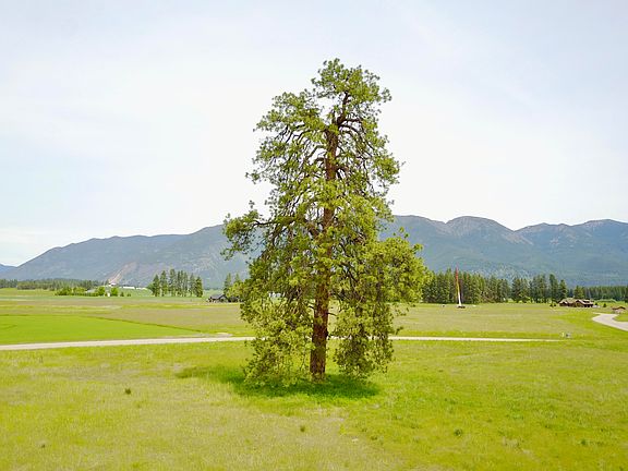 3rd image of 16 Towering Pine Ct