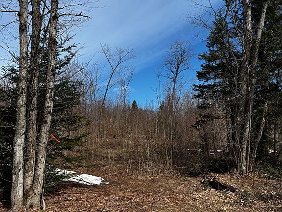 4th image of LOT 2 Lorimer Lake Rd