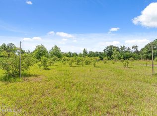 2995 Thunder Rd, Middleburg, FL 32068