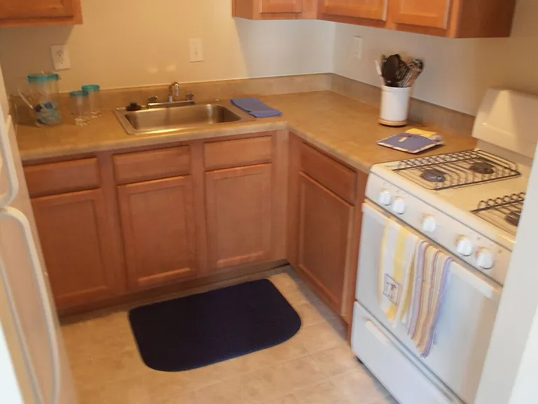 1 BR Kitchen