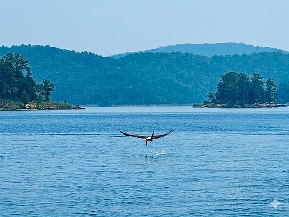 5th image of 26 Mangrove Road