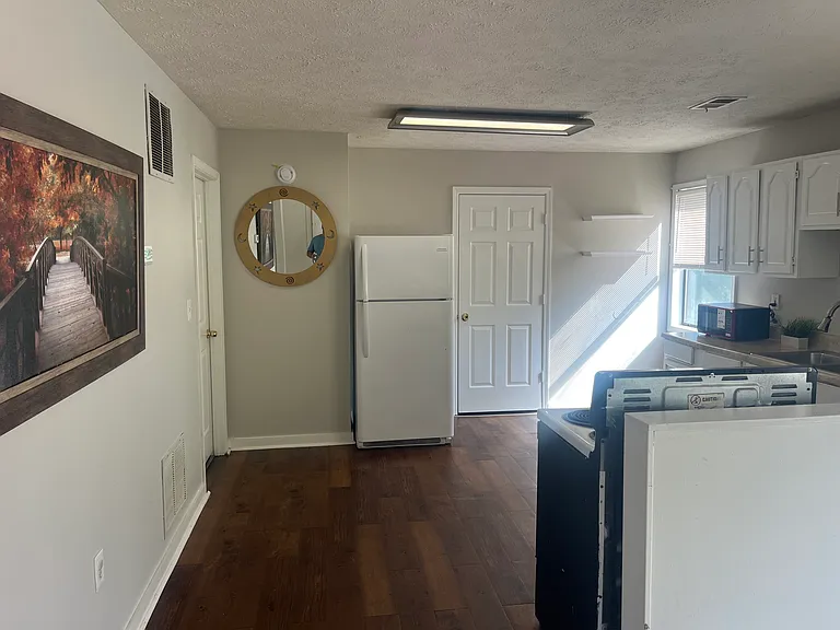 252 Weeping Willow Dr — Photo 8