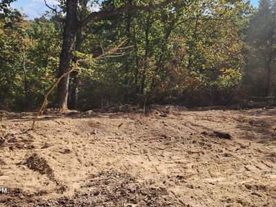 0 Pheasant Ridge Rd, Sugar Tree, TN, 38380