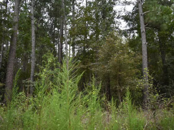 Augusta Ln, Andrews, SC 29510