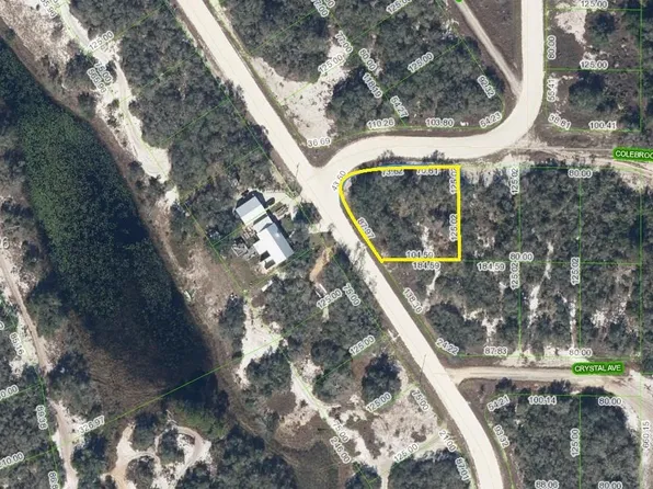 231 Lakeland Dr, Lake Placid, FL 33852