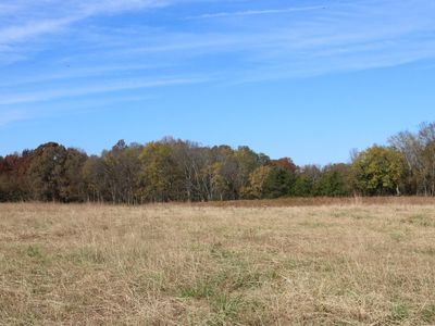 0 Hamilton Rock Ln, Savannah, TN, 38372