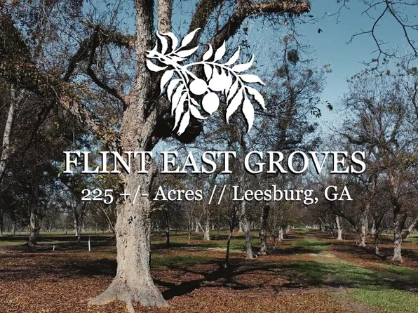 249 Old Leesburg Hwy, Leesburg, GA 31763