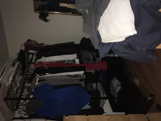 Rented by Fiddler Realty | media 12