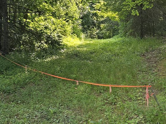 3rd image of 360 Grove St