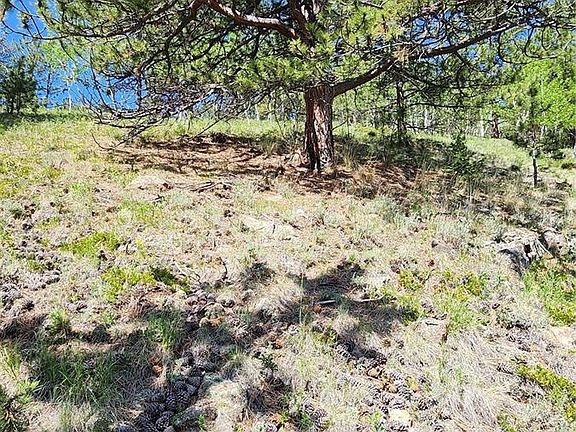 2nd image of 267 Ward Street