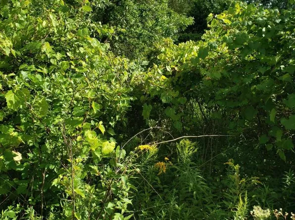 Lt4 East SUNNYYVIEW ROAD, Oshkosh, WI 54901