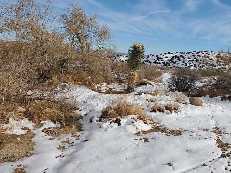 1st image of 2945 Tumbleweed Trl