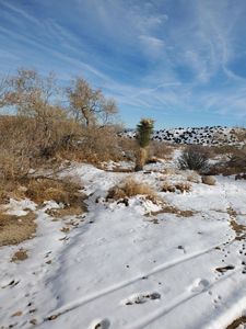 2945 Tumbleweed Trl, Pioneertown, CA, 92268