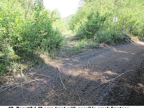 3rd image of 40 Acres River Access Sportsman's Paradise