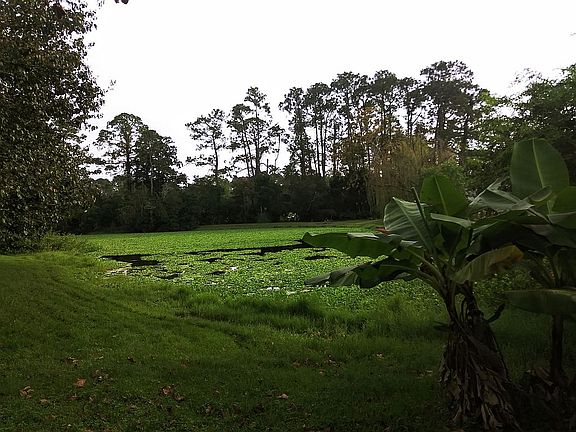 Large Private Backyard