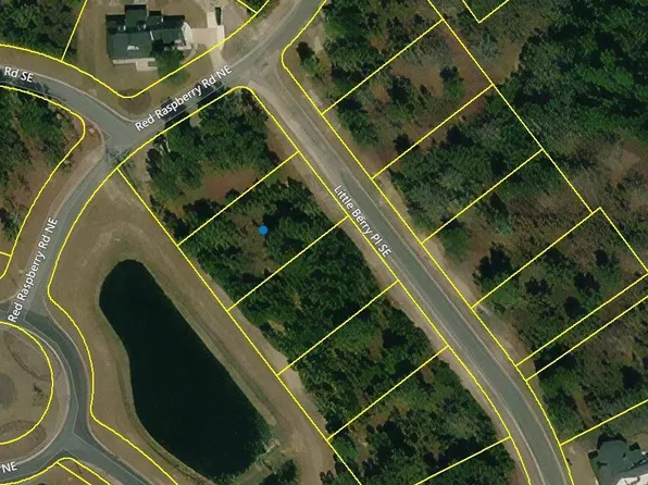 3705 Little Berry Pl NE, Leland, NC 28451