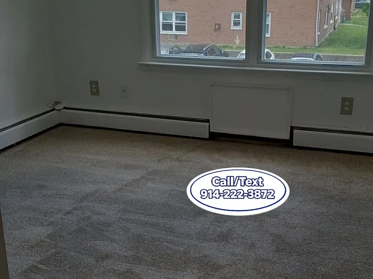 155 Birdseye St #B2 — Photo 7