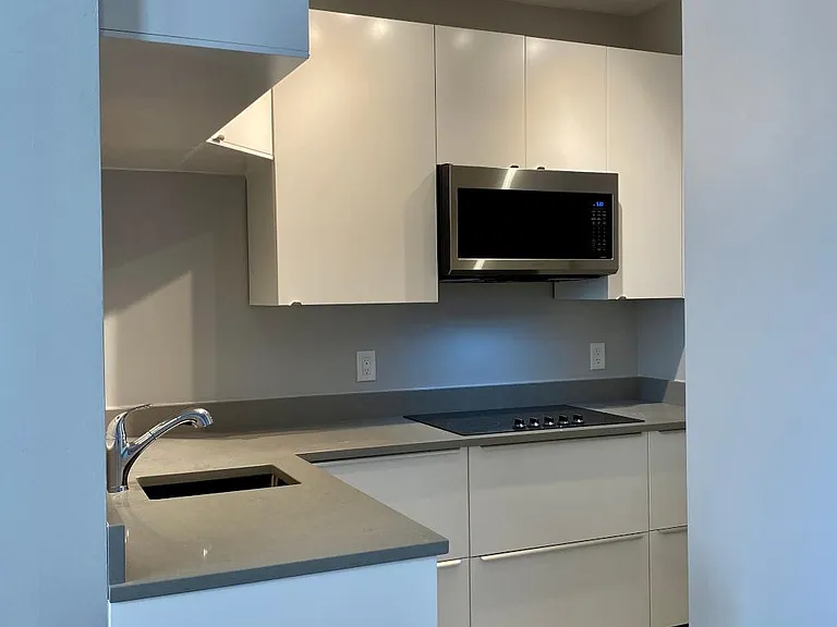 Newly renovated kitchen with convection microwave, ceramic glass cooktop, new dishwasher, etc.