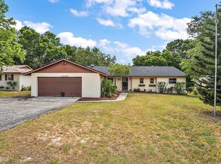 36206 Pine Tree St, Fruitland Park, FL 34731