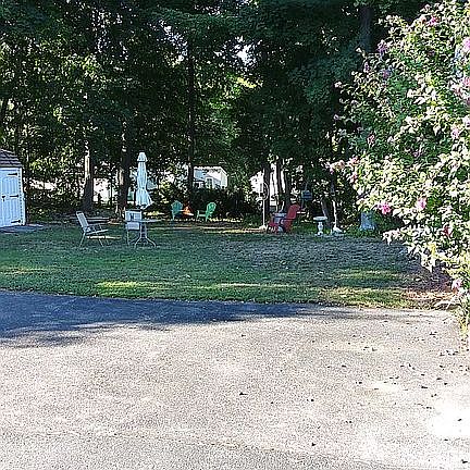 back yard