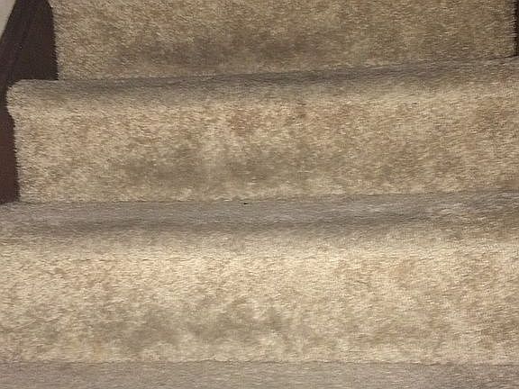 Carpeted attic stairs !