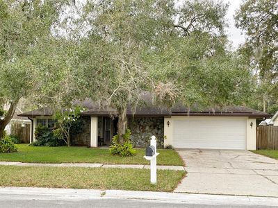 15155 Nighthawk Dr, Tampa, FL, 33625