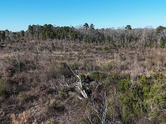 5th image of SW Loop 485