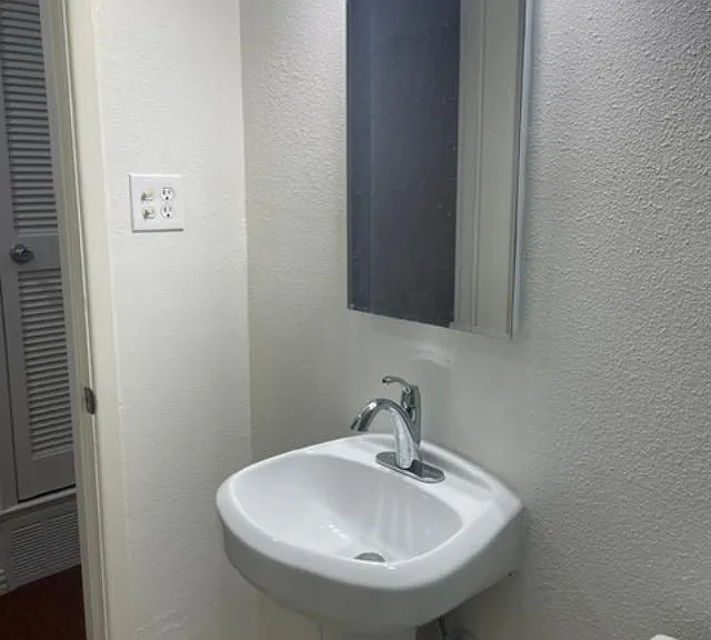 Hall bathroom