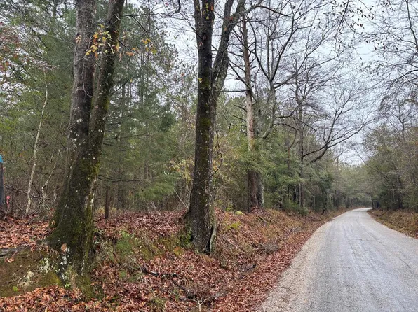 0 Wilcox Rd, Evergreen, AL 36401