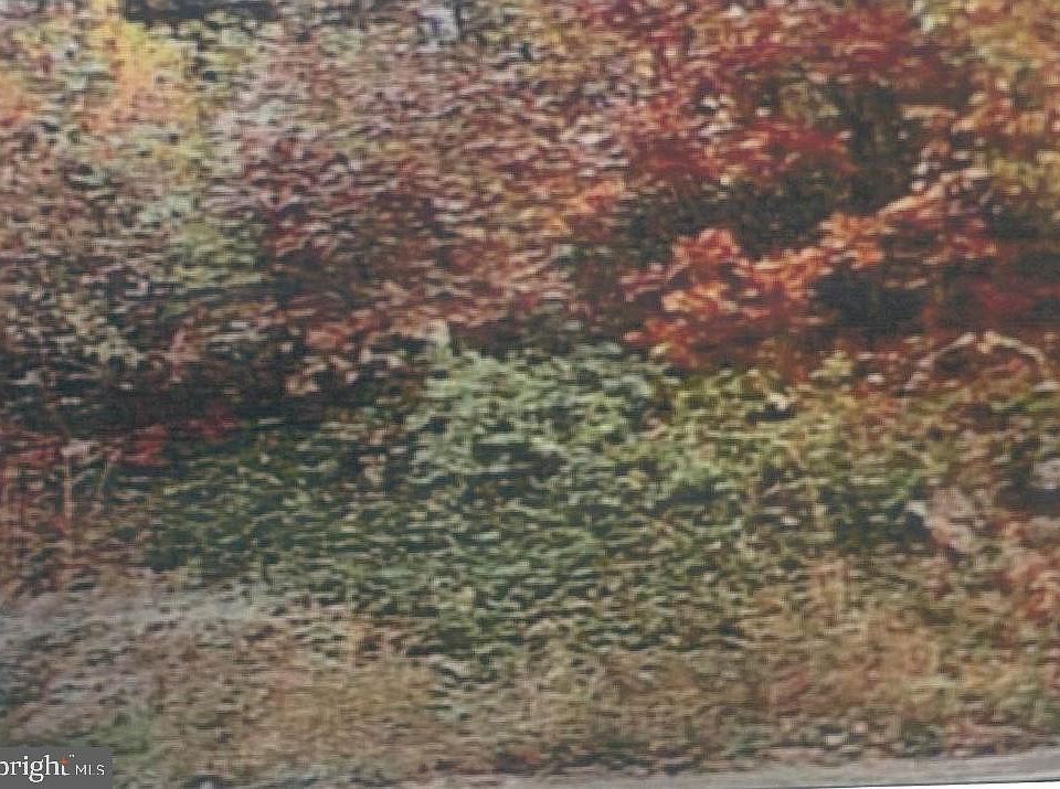 2nd image of 441 Abels Rd