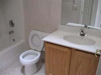 5th image of 105 Golden Spike Ct