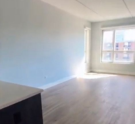3rd image of 1200 N Wells St #402