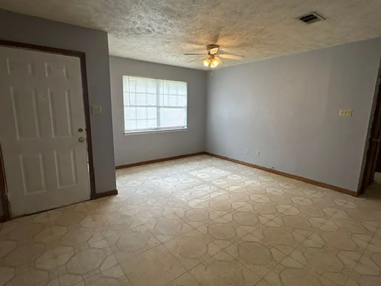 295 Homer Rd — Photo 3