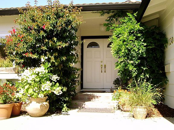 Wysteria and Bougainvillea arch the sunny entrance.  