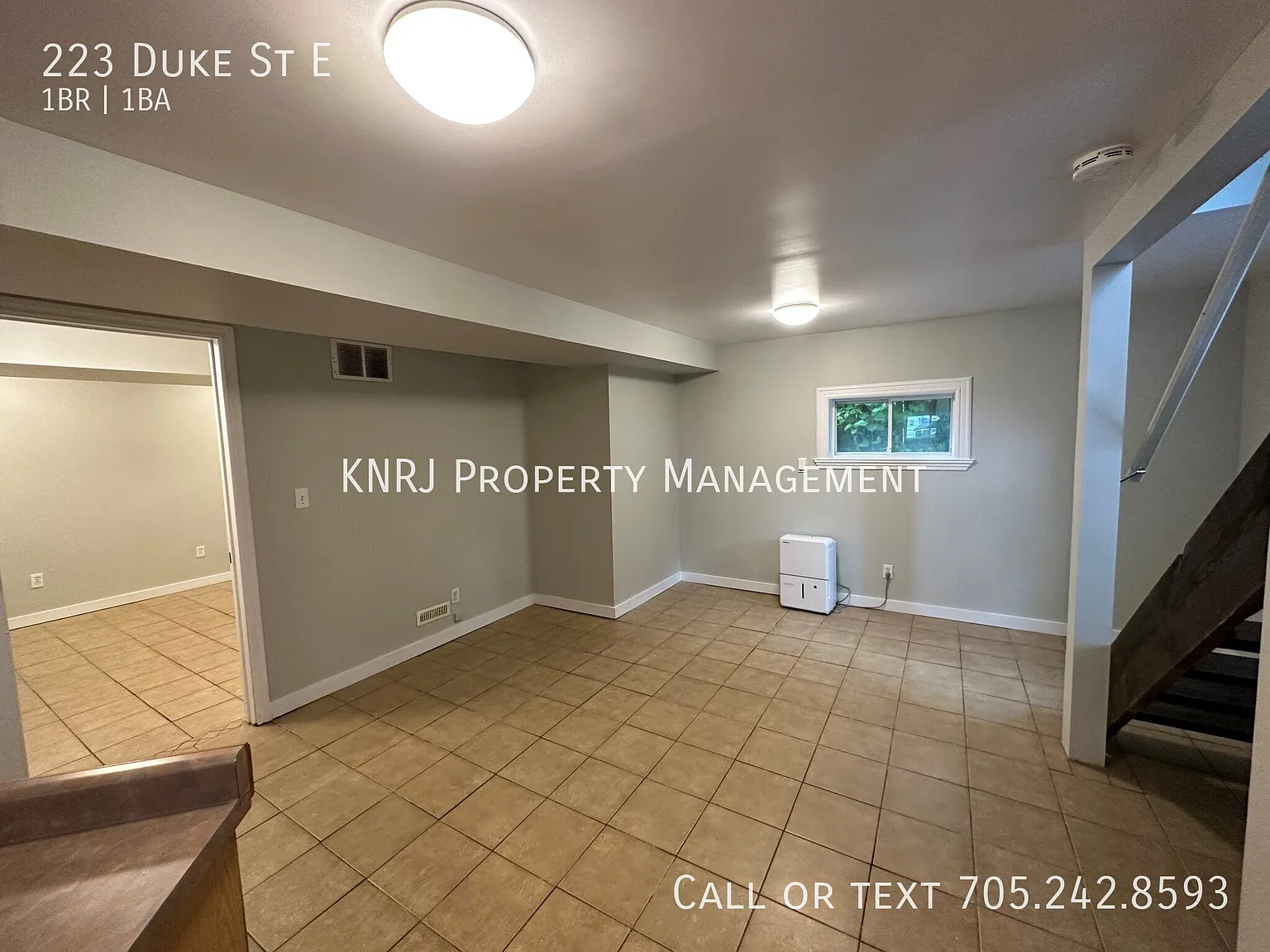 Spacious 1 Bedroom Basement Apartment — Photo 4