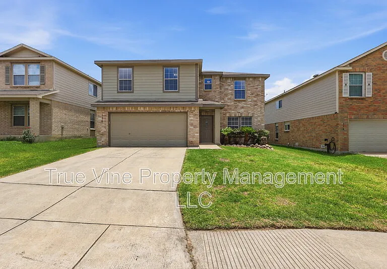136 Texas Mulberry — Photo 1