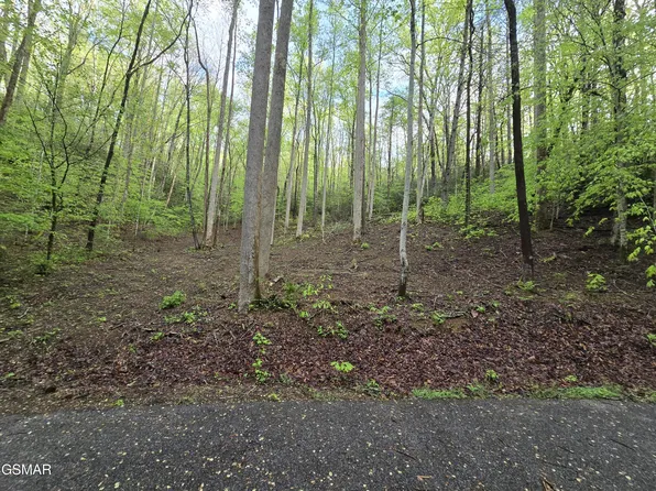 0 Cara Way, Cosby, TN 37722